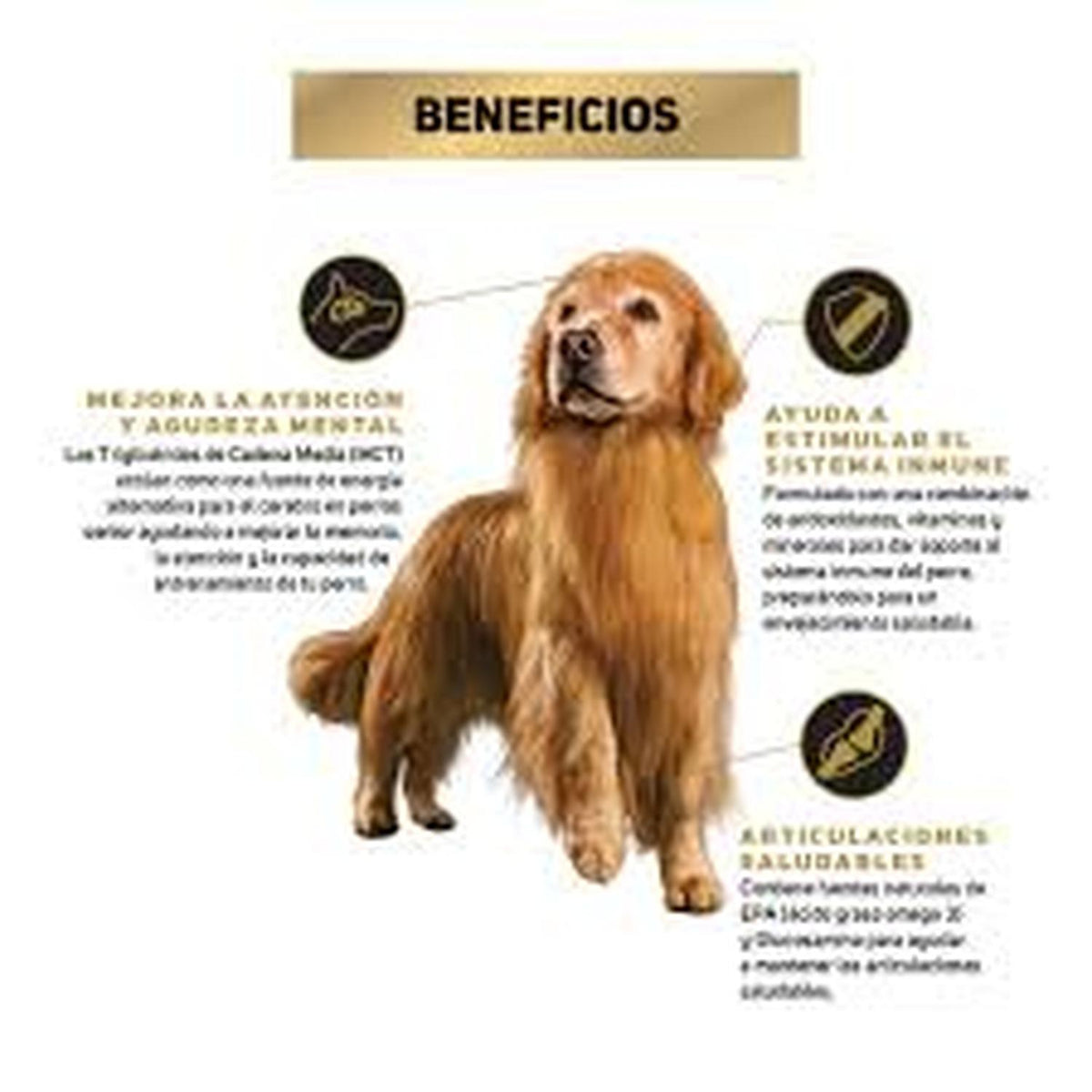 jpeg_1500x1500_64561729